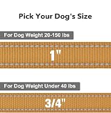Taglory Dog Leads for Small Medium Dogs 2 cm Wide 1.2 m Tan Reflective view 4