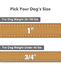 Taglory Dog Leash for Small Dogs, Double-Sided