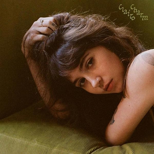 clairo レコードまとめ売りSling Immunity Diary clairo レコードまとめ売りSling Immunity Diary clairo