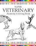 Download Saunders Veterinary Anatomy Coloring Book: 9781437714395 ...