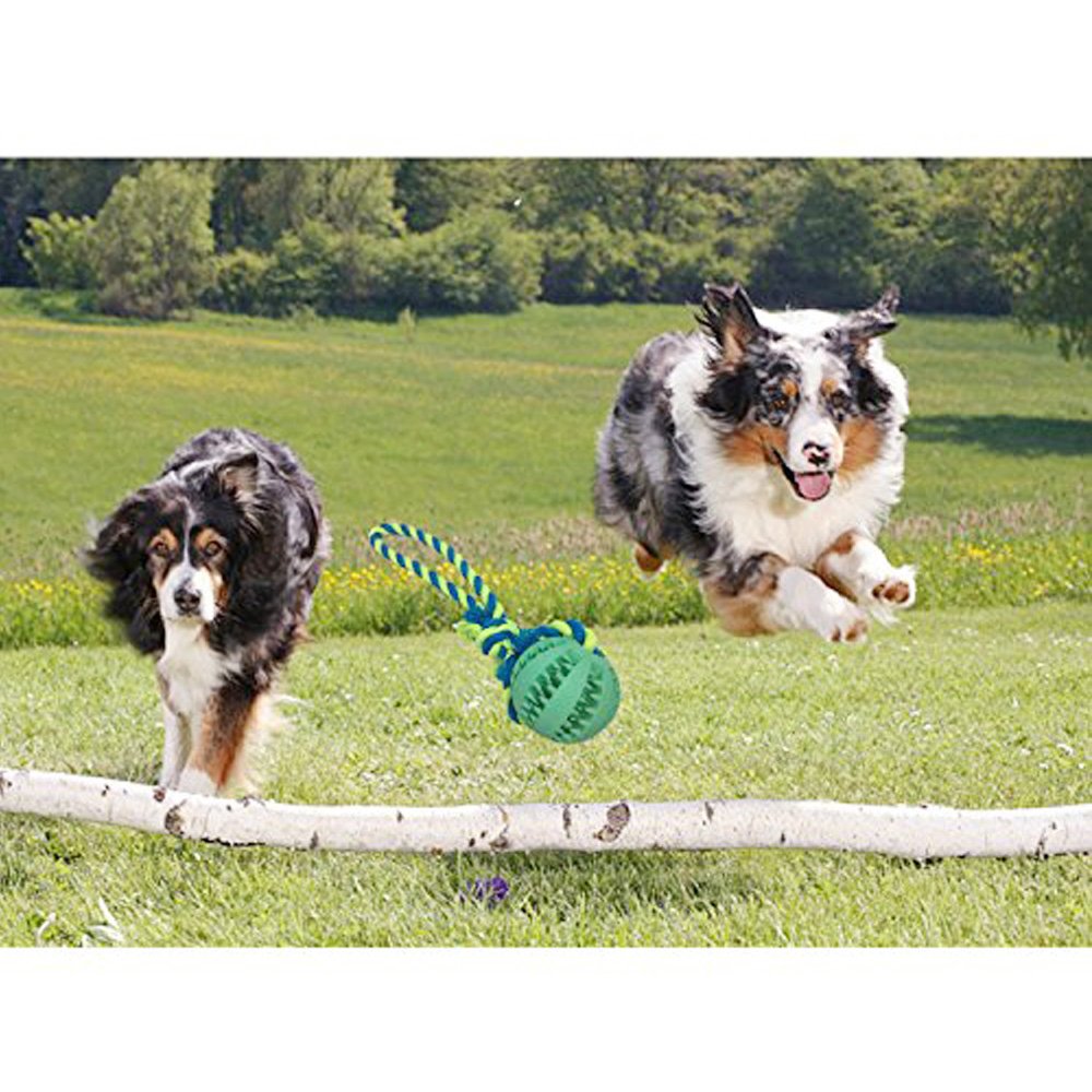 Dog Chew Toy Durable Non-Toxic Toy Balls for Small Dogs Soft Bouncy Rubber Dog Ball Launcher for aggressive chewers training Pet Dog Cat Exercise and Reward Toy