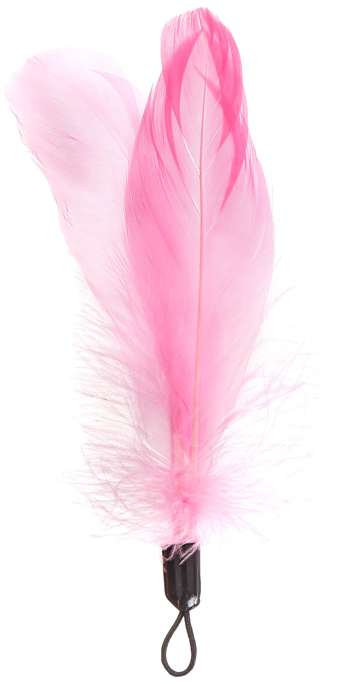 Beeztees, Kitten Rod Feathers