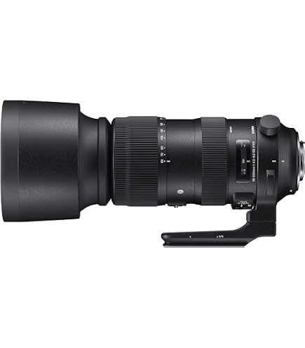 Amazon.com : Sigma 60-600mm f/22-32 Fixed Zoom F4.5-6.3 DG OS HSM