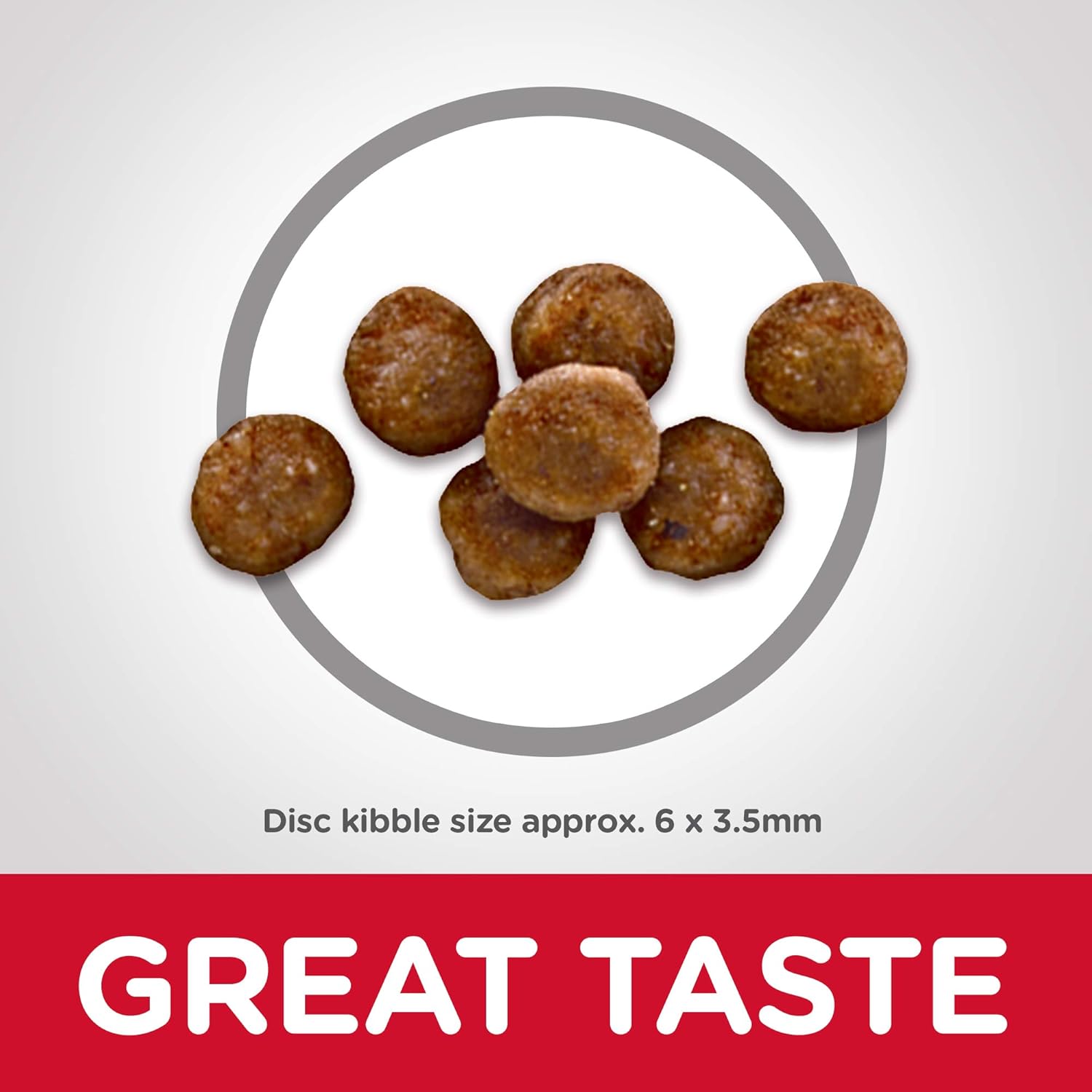 hill's science diet kitten dry food