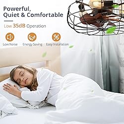 LEDIARY 20" Caged Ceiling Fans with Lights and