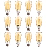 FLSNT 100W Equivalent LED Edison Bulbs, ST19 Dimmable Antique LED Light Bulbs, 2450K Warm White, 8W, 900LM, E26 Base, Amber G