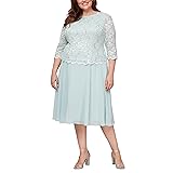 Alex Evenings Women's Plus Size Tea Length Lace