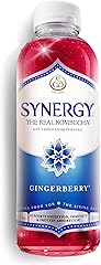 SYNERGY The Real Kombucha - Gingerberry - 16 fl oz Bottle - Raw Probiotic Drink for Gut Health and Immune Support