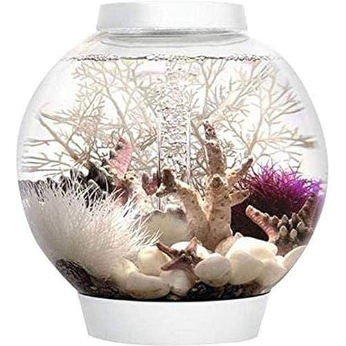 biOrb Classic Aquarium