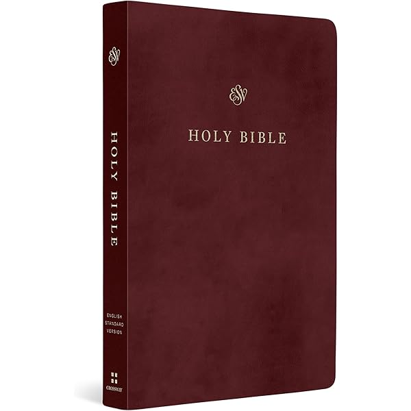 ESV Gift and Award Bible (TruTone, Black): Holy Bible, English