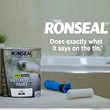 Ronseal Anti Mould Paint White Matt 750ml AMPWM750 view 5