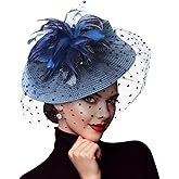 DRESHOW Fascinators Hat Flower Mesh Feathers Hat with a Headband and a Clip 7.9" Tea Party Headwear for Women