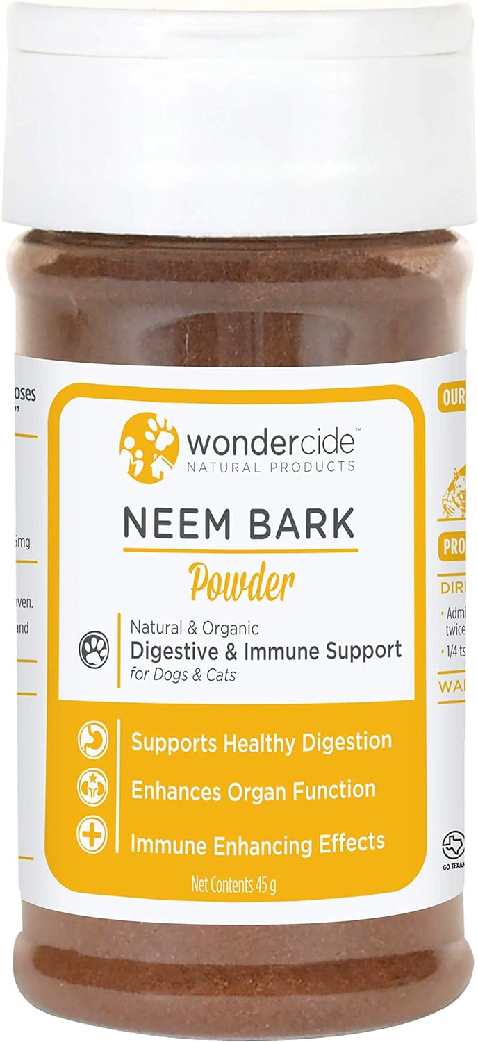 are hamsters related to rats