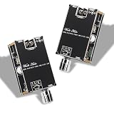 Wuzhi Audio ZK-1001U Mono Amplifier Board (Black4 ZK-1001B 2PCS)