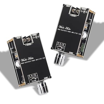 Wuzhi Audio ZK-1001U Mono Amplifier Board (Black4 ZK-1001B 2PCS)