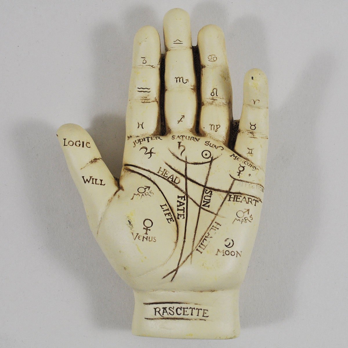Fiesta Studios Palmistry Hand, Ornament. L12.5cm & Palm Reading Instruction Booklet
