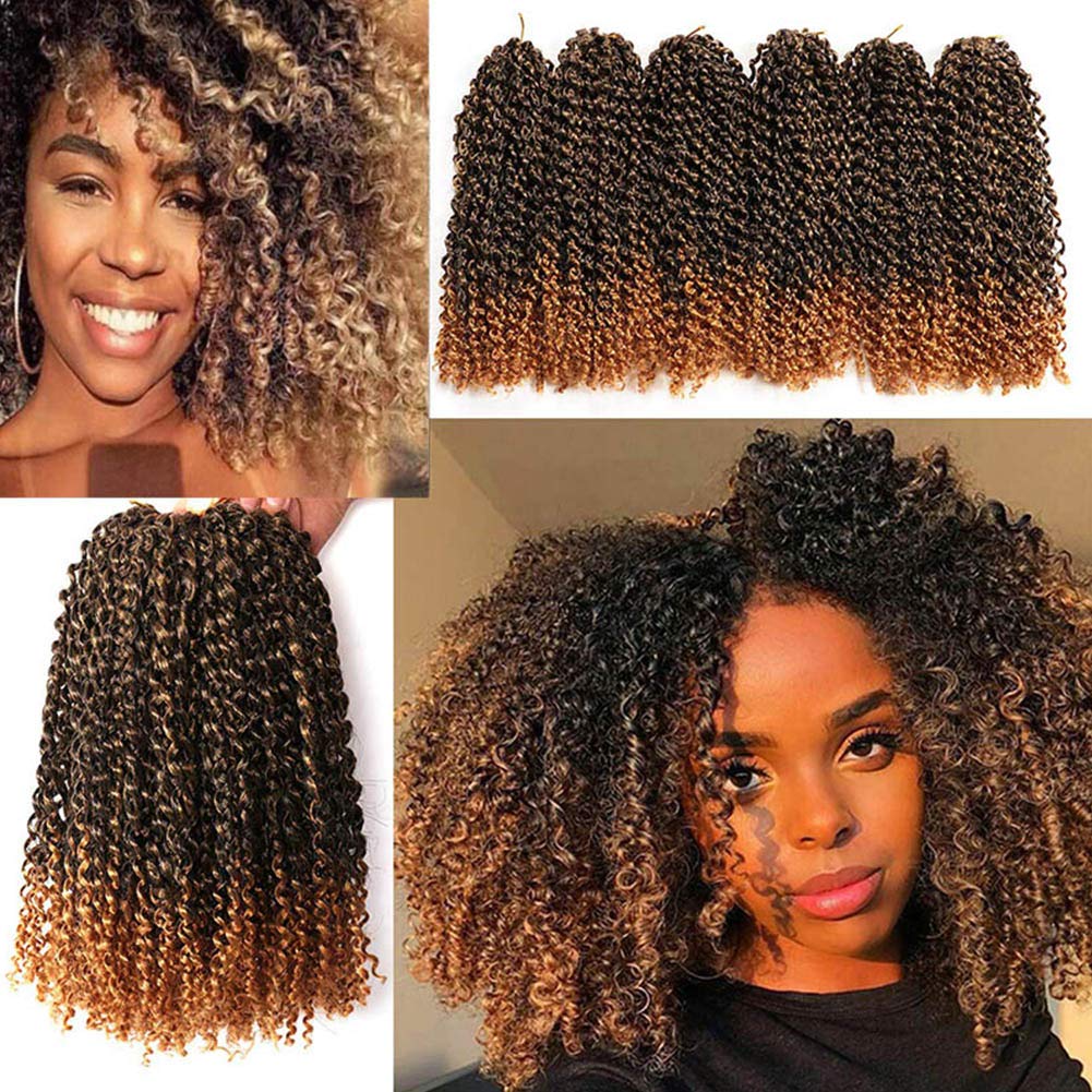 6 Bundles Passion Twist Marlybob Crochet Hair 12 Inch Kinky Curly Crochet Braids Ombre Jerry Curly Synthetic Braiding Hair Extension for Women (T27)