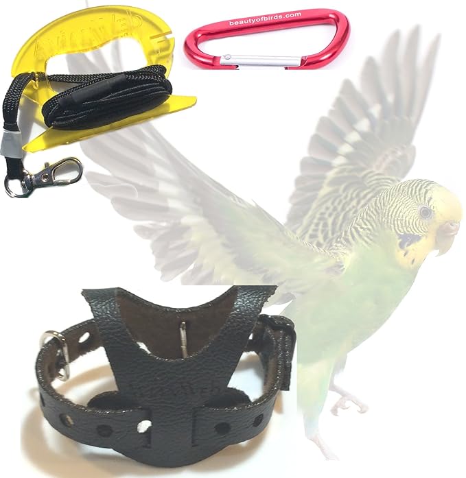 Avianweb EZ Budgie or Parrotlet Harness & 6 Ft Leash (All
