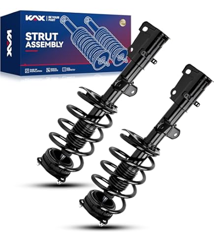 Amazon.com: Strut 31316759562 : Automotive