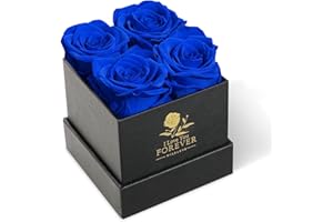 WILDLOVE Flowers for Delivery Prime, Preserved Blue Roses in a Box, Flower Gifts for Her on Christmas, Valentines Day and Mothers Day, Birthday Gifts for Women