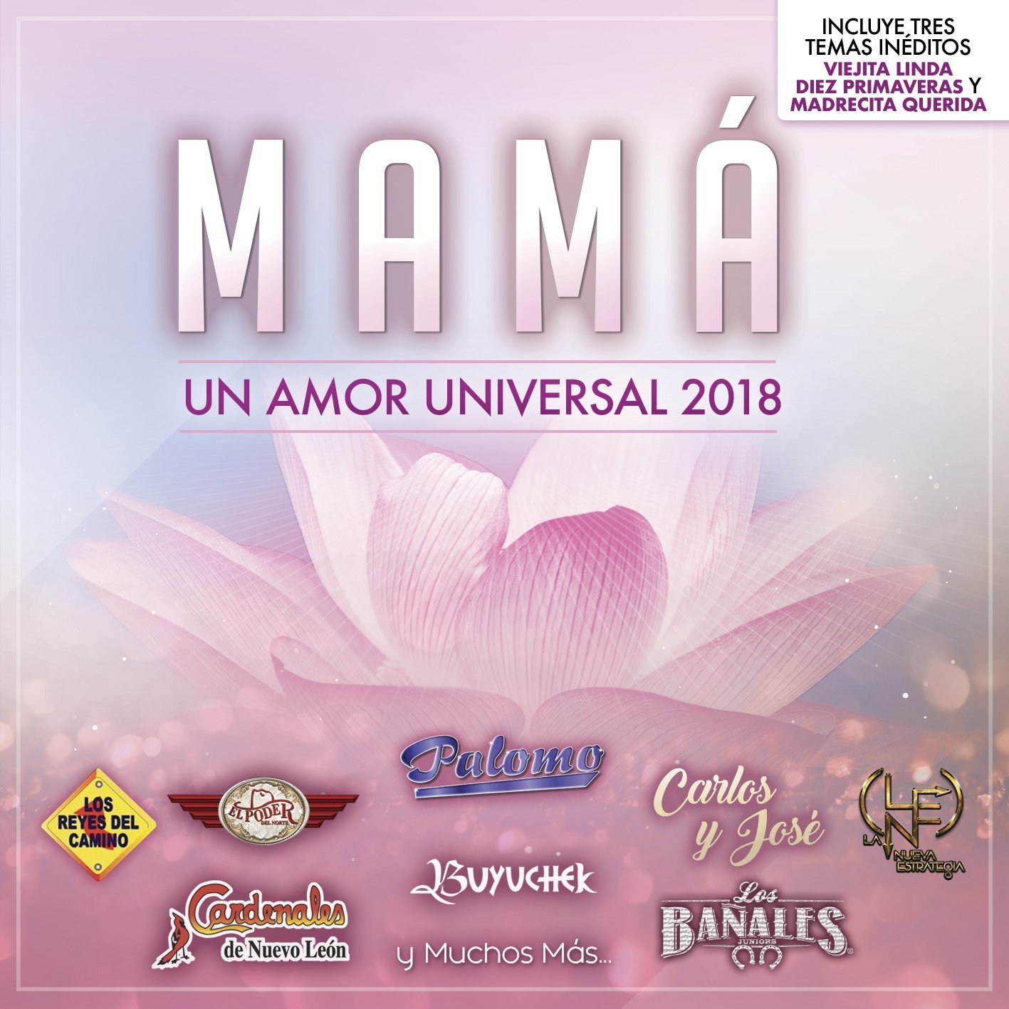 Mam Un Amor Universal 2018