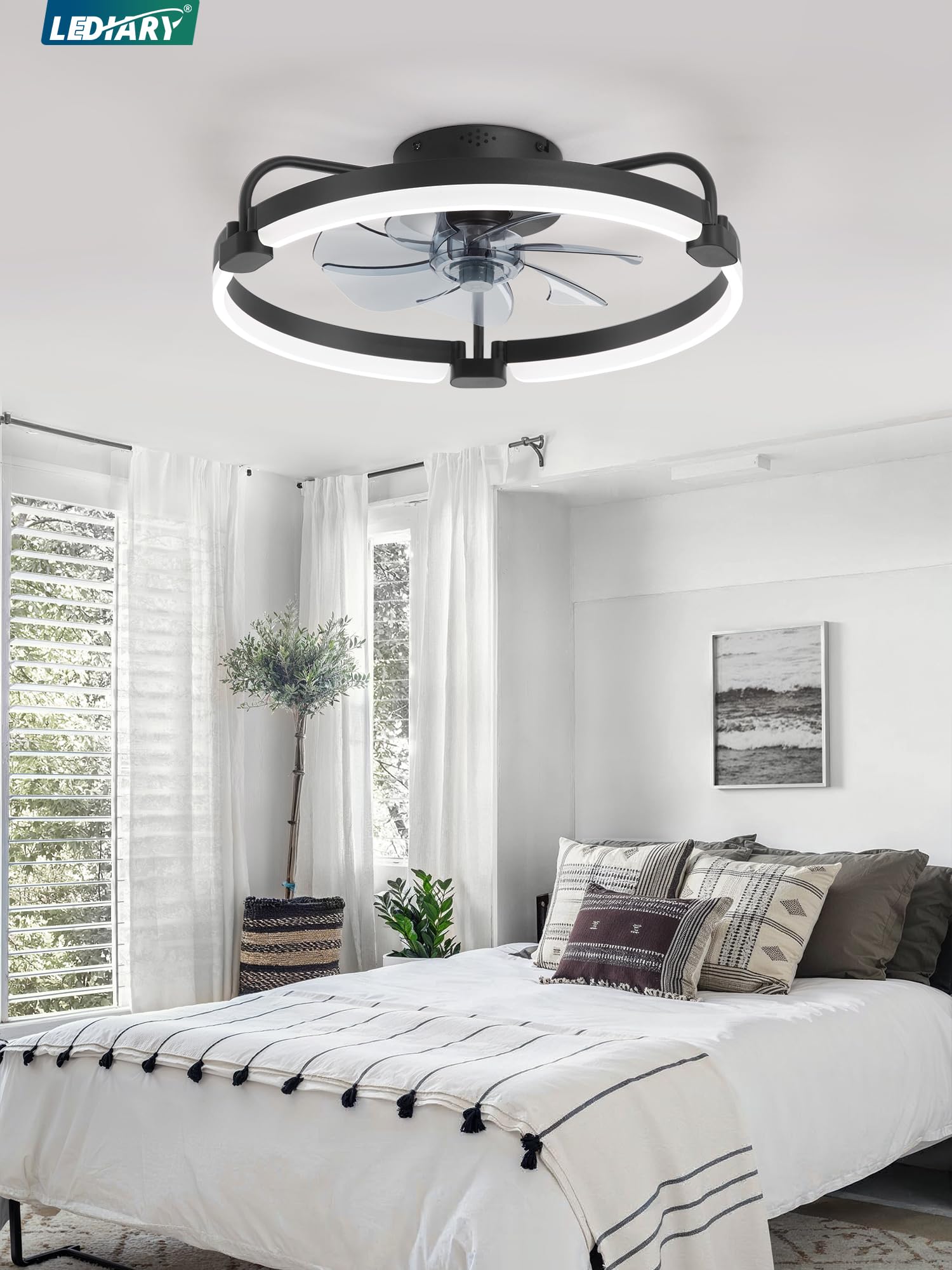 LEDIARY Ceiling Fans with Lights and Remote, 20'' Low Profile Ceiling Fan with Light, 3000-6000K Dimmable Fandelier LED Fan Light, 6 Wind Speeds, Black Modern Flush Mount Ceiling Fan for Bedroom