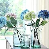 Noah Decoration Double Ear Hand-Blown and Handmade Transparent Flower and Filler Bubble Glass for Home and Wedding Indoor and