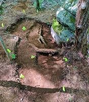 An image posted by the author.