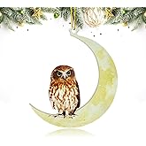 Animals Sitting On The Moon Ornaments for Christmas Tree - Owl Christmas Decorations - Owl Lovers Gifts
