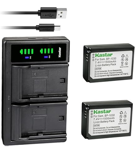 Amazon.com : Wasabi Power Battery (2-Pack) and Charger for