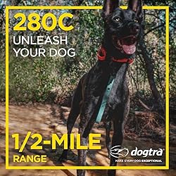 Dogtra 280C Waterproof 127-Level Precise Control