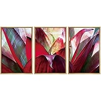 SIGNWIN Framed Canvas Wall Art Blood Red Scarlet Star Bromeliad Succulent Botanical Plants Minimalism Modern Closeup Dramatic for Living Room, Bedroom, Office - 24