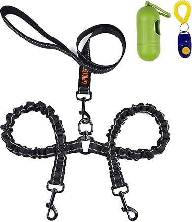 leash amazon