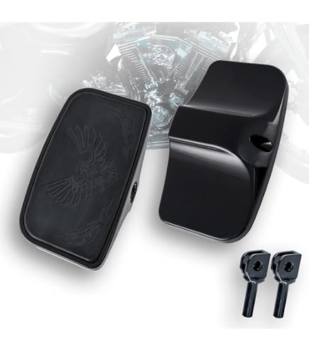 Amazon.com: Driver Passenger Footboard Foot Pedal pegs For