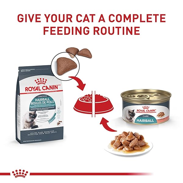 ROYAL CANIN HAIRBALL CARE THIN SLICES IN GRAVY WET CAT FOOD, 3 OZ CAN (24-COUNT)