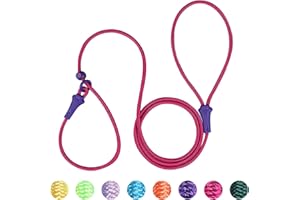 DOSUYI No Pull Dog Leash, Slip Lead 6 FT Lightweight Dog Training Leash, Dog Leash for Small Medium Dogs 8 Colors Classic Dog Leash Dog Rope