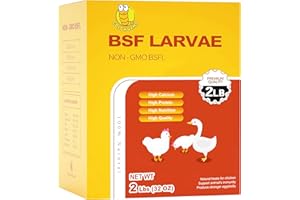 GOLDWORMS 2LBS Dried Black Soldier Fly Larvae Superior to Dried Mealworms for Chickens - BSF Larvae 85X More Calcium Than Meal Worms - High Protein Treats for Wild Birds, Hens, Ducks, Reptiles