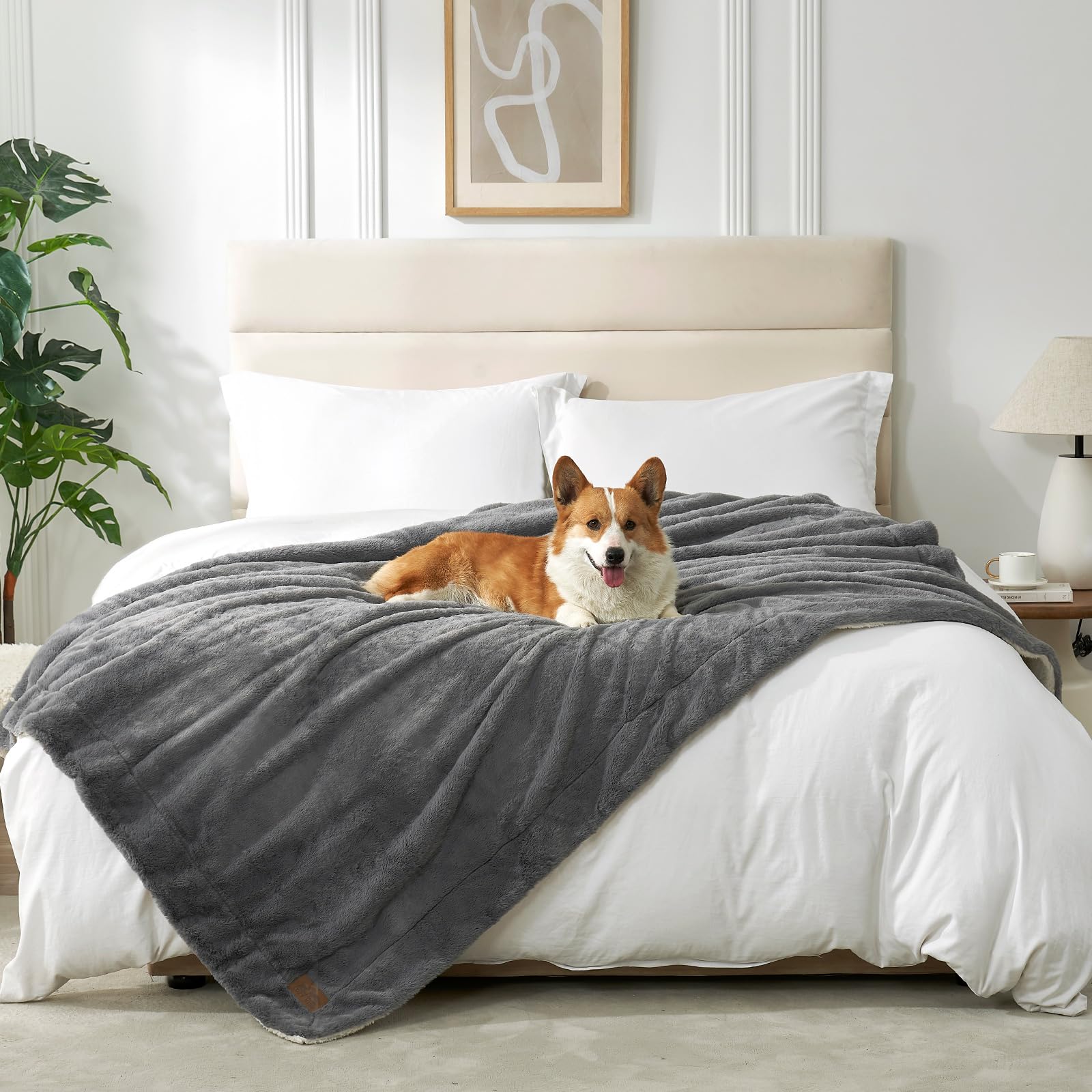 Photo 1 of COZY KISS Waterproof Pet Blanket for Large Dog, Soft Luxury Faux Fur Throw for Woman Sofa Bed Couch, Non-Shedding Double Sided, Super Fluffy Thick Warm, Reversible, 50x60 in, Grey