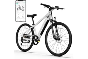 TS TST GRP LLC TST Electric Bike for Adults with Peak 1000W/750W Motor, 36V/7.8Ah/10.4Ah Removable Built-in Battery, 25MPH/30MPH 7-Speed City Ebike, 26" Electric Bicycle for Commuter