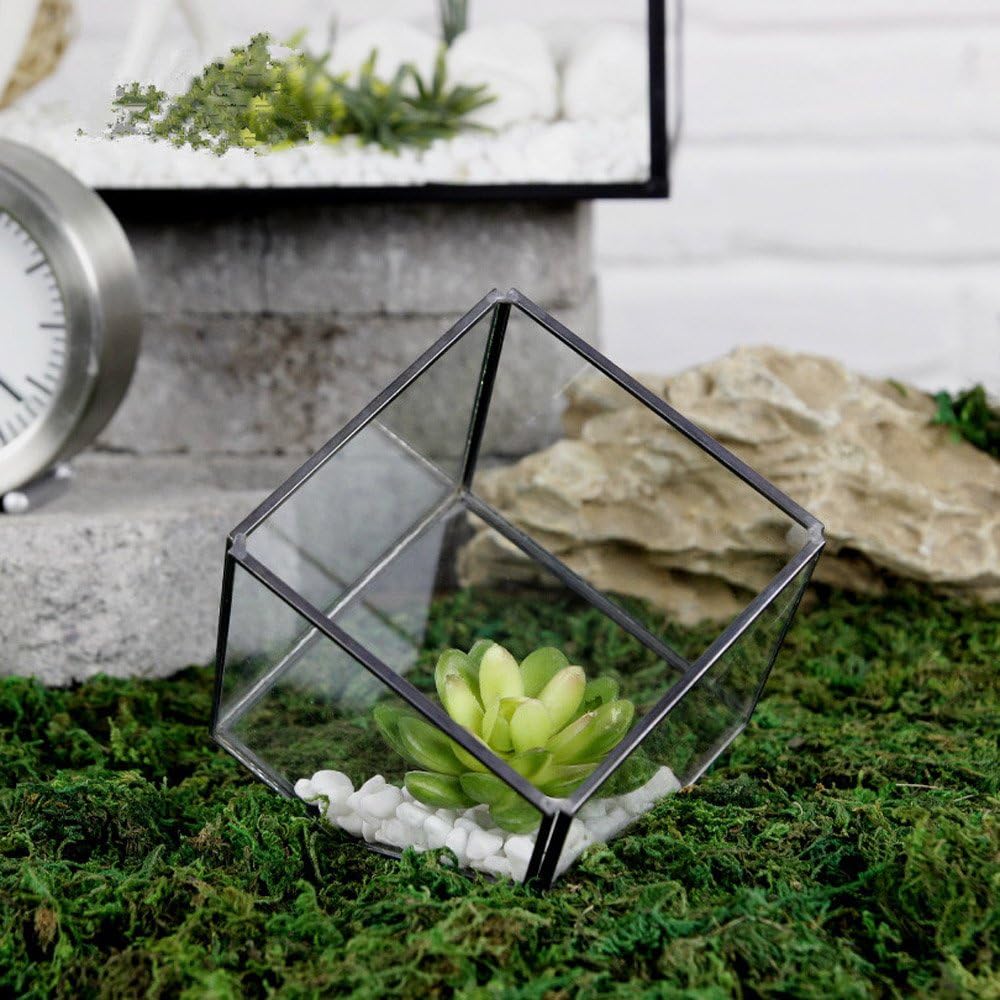 Noah Decoration Hand-Blown and Handmade Cube Succulent Plant Glass Terrarium/Decorative Votive Candle Container for Home and Wedding Indoor and Outdoor Decoration Size Small