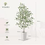 YOLEO 5FT Ficus Tree with White Planter Indoor Silk Realistic Faux Plant view 3