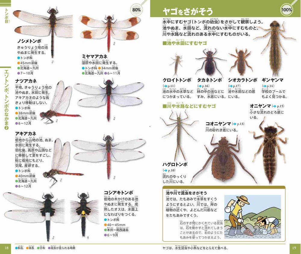 Picture Book Neo Pocket Of Shogakukan Insect 10 Isbn Japanese Import Keiichi Koike Nobuo Moriue Manabu Tsutsui Takashi Shinkai Tetsuji Mizuguchi Amazon Com Books