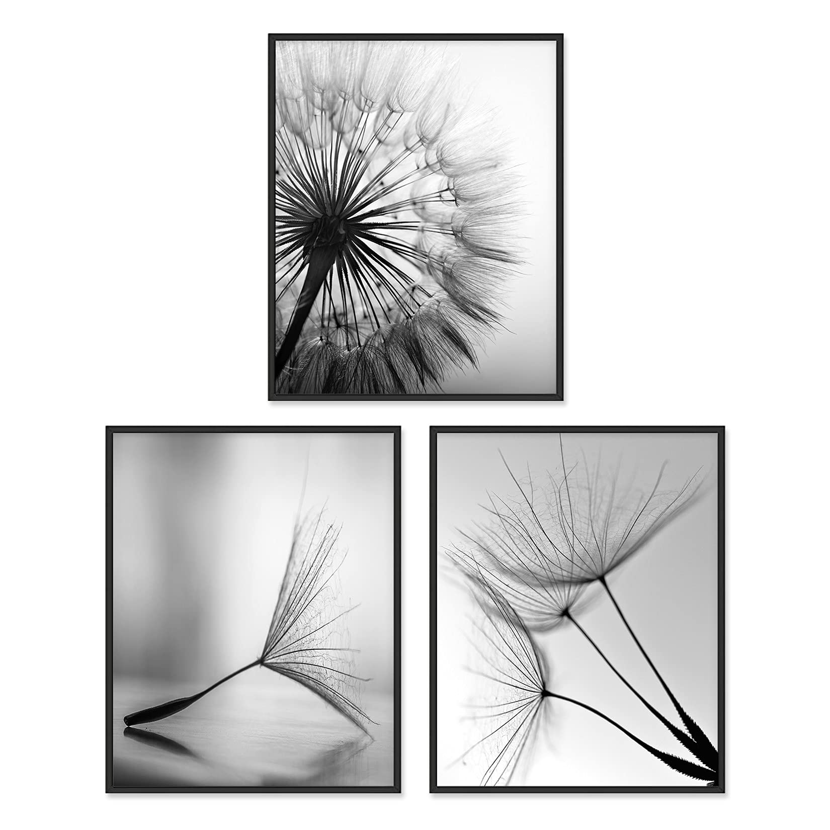 Black and White Wall Art Prints Posters Minimalist Decor, 8x10 Canvas Prints Unframed Set of 3, Plant Posters Aesthetic for Living Room
