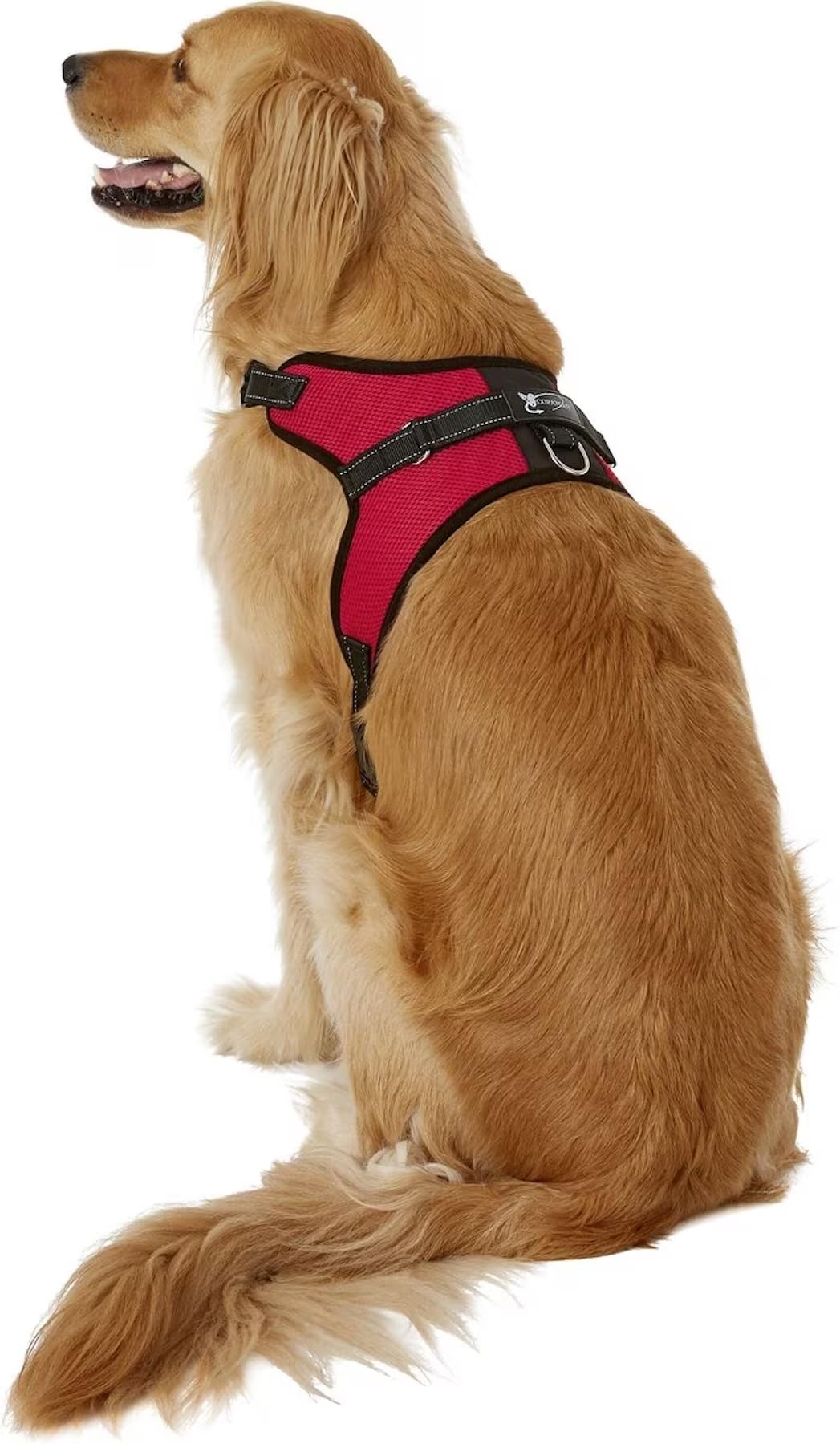 Copatchy No Pull Reflective Adjustable Dog Harness with Handle- Comfortable Soft All Weather Mesh, Easy On Puppy Harness for Small Medium and Large Dogs (Red) X-Large