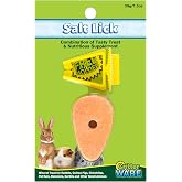 Ware Manufacturing Carrot Salt Lick Small Pet Chew with Holder