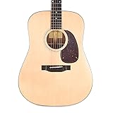 Eastman E1D Dreadnought Guitar with Gig Bag