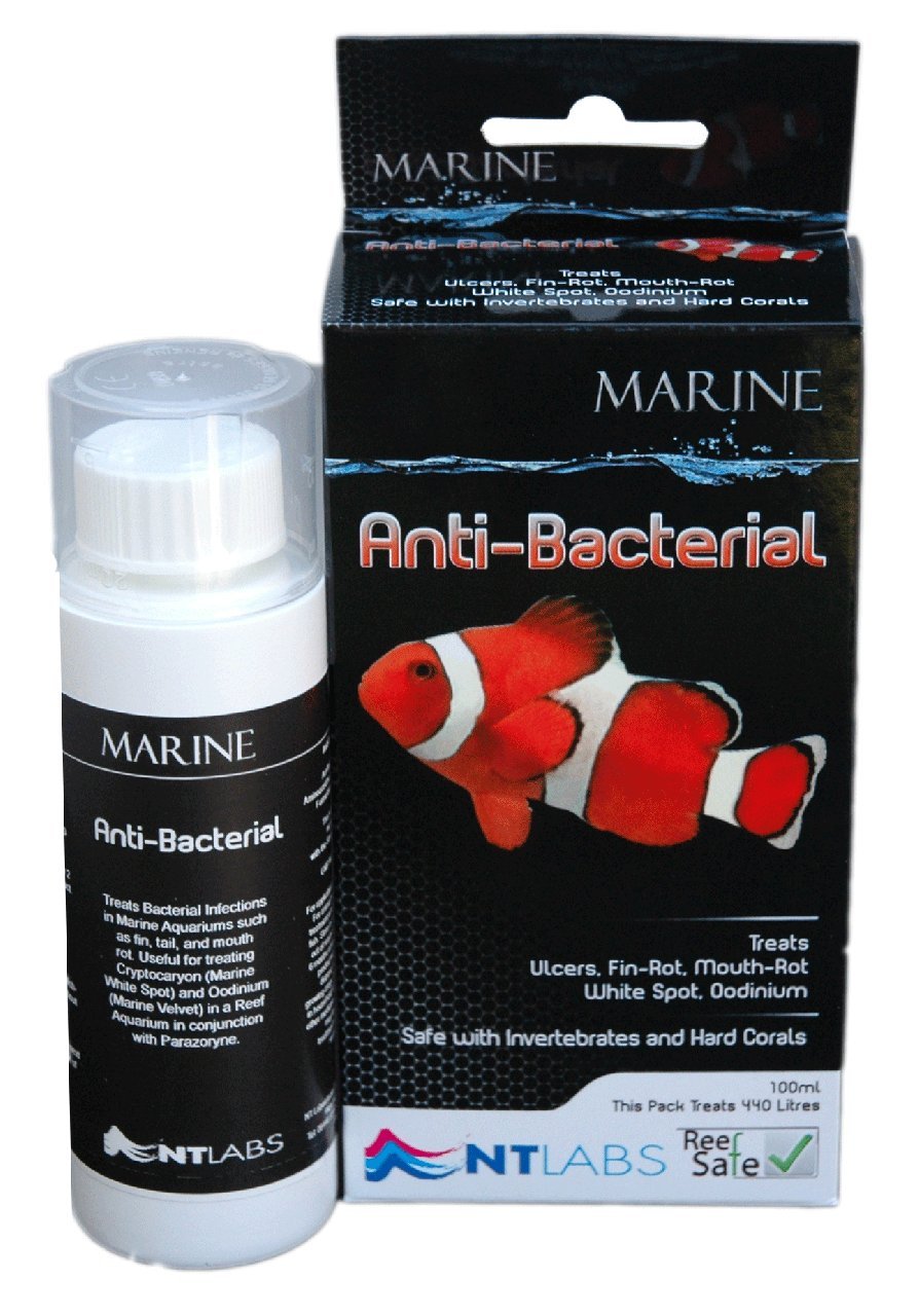 NT LABS ANTIBACTERIAL Amazon.co.uk Pet Supplies