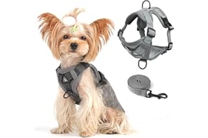SKMEDITEC Vest Harness Leash Set for Small Dog Large Cat, Upgraded Escape Proof Adjustable Jacket with Lead for Puppy Fat Cat Outdoor Walking, Soft Breathable Mesh Coat with Reflective Strip XL Dark Grey