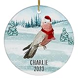 Santa Hat and Scarf Welcome Winter Rose Breasted