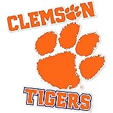 Desert Cactus Clemson University Sticker Tigers Vinyl Decals Laptop Water Bottle Car Scrapbook T5 (Type 5-1)